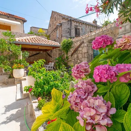 Apartman Andelina Old Town Cavtat Exterior photo