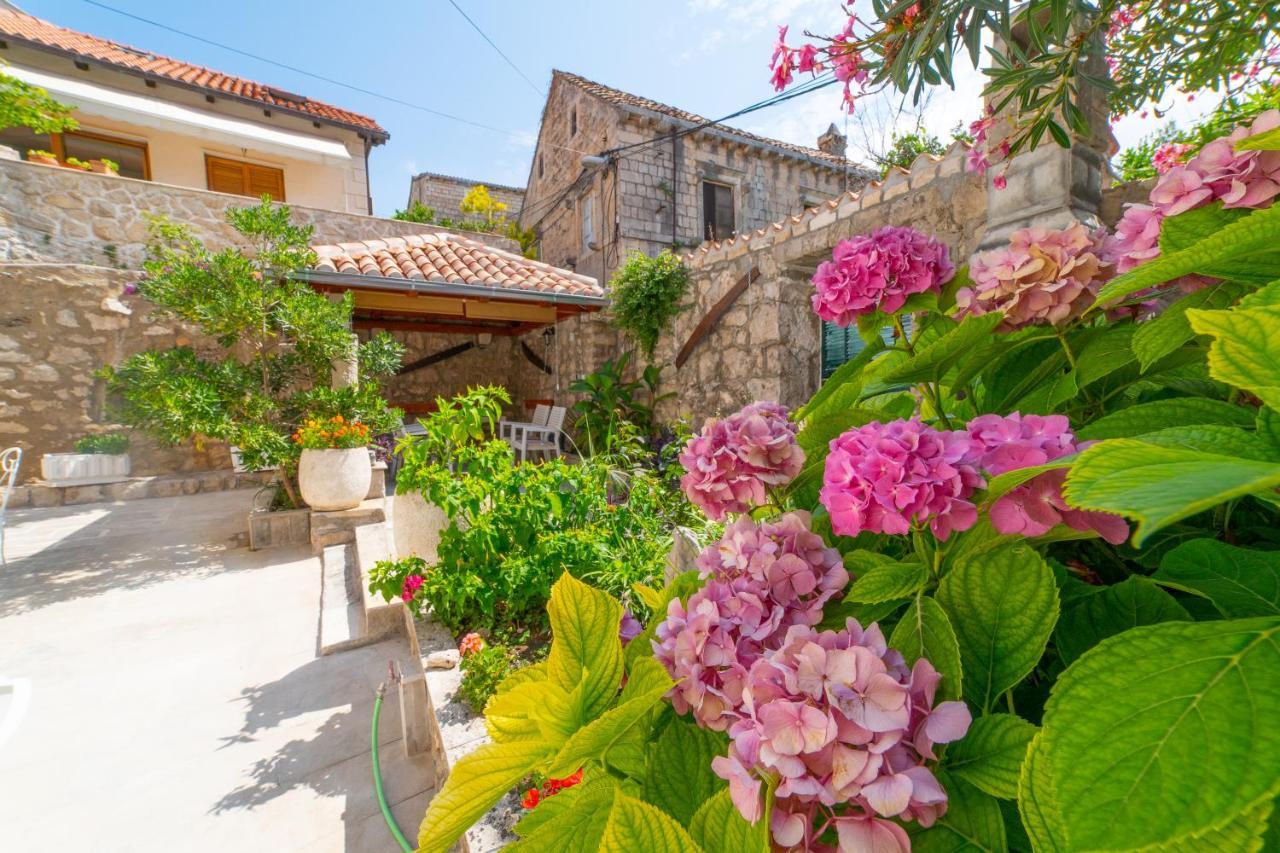 Andelina Old Town Apartment *